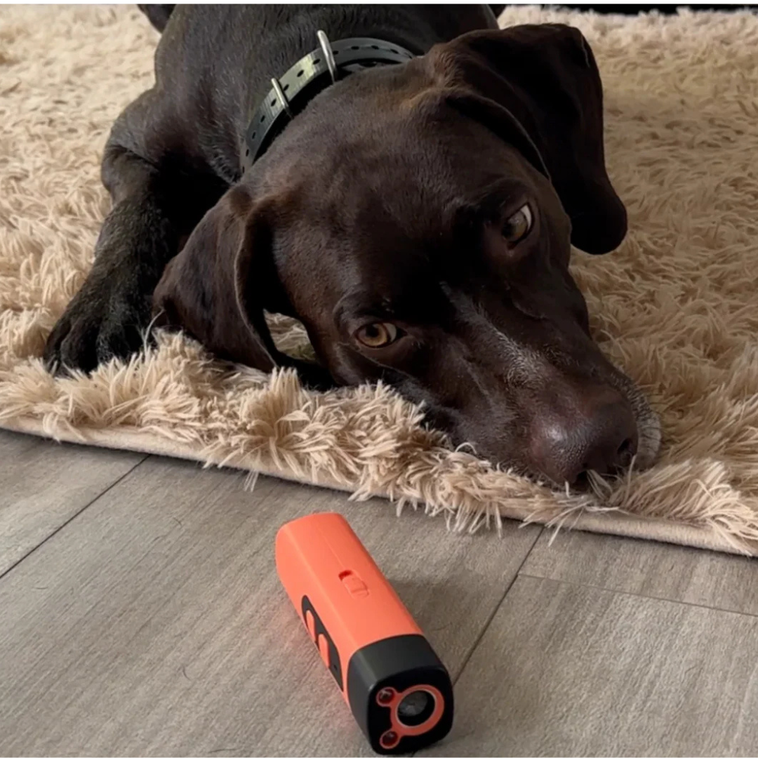 BarkStop - Ultrasonic Dog-Friendly Anti-Bark Device