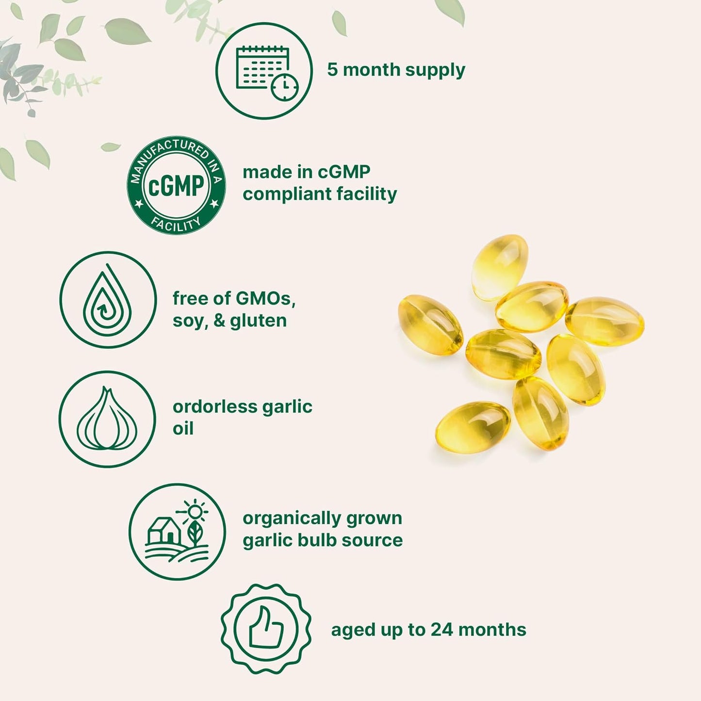 Odorless Aged Garlic Extract — Support Softgels Without The Side Effects