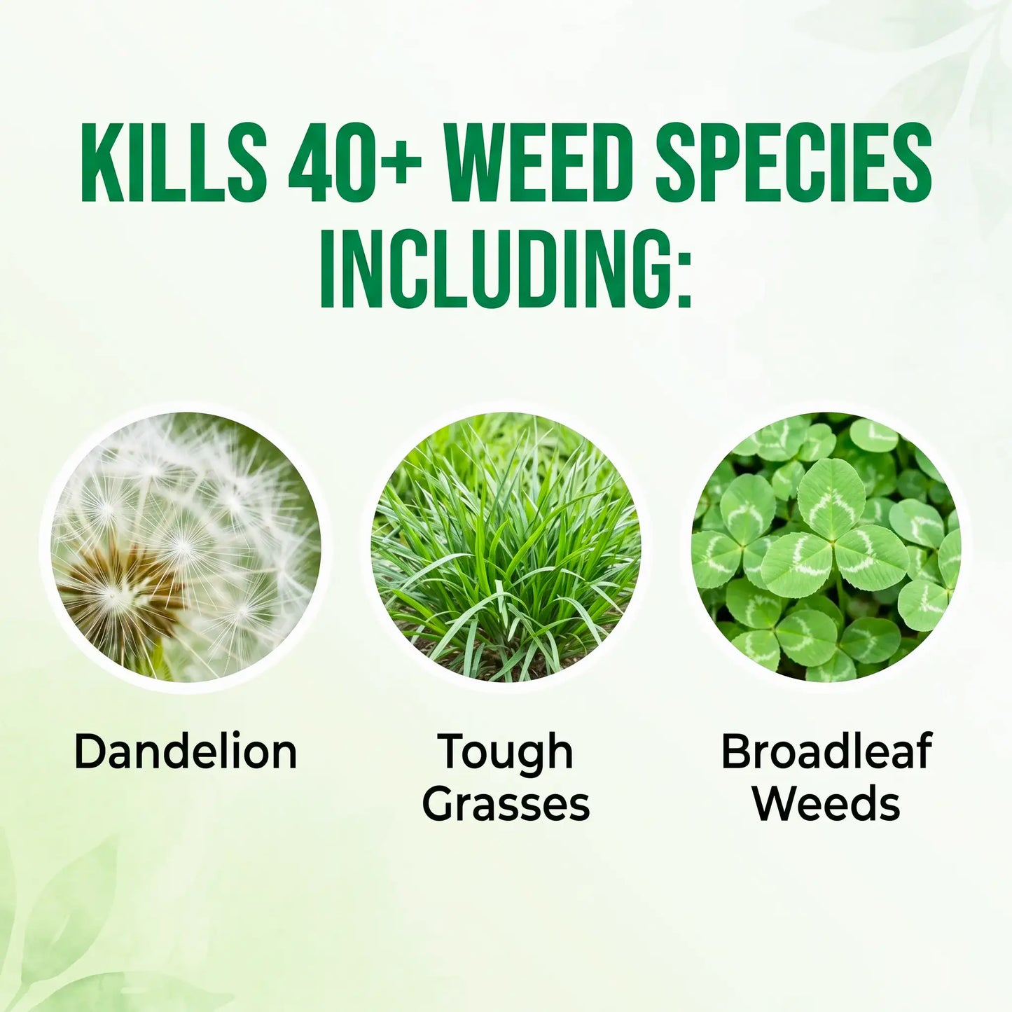 MEGA DEAL | MoonSpry™ 2-in-1 Max Power Weed Killer | Watch the weeds wither before your eyes!