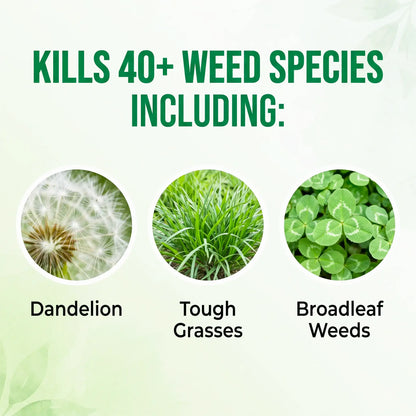 MEGA DEAL | MoonSpry™ 2-in-1 Max Power Weed Killer | Watch the weeds wither before your eyes!