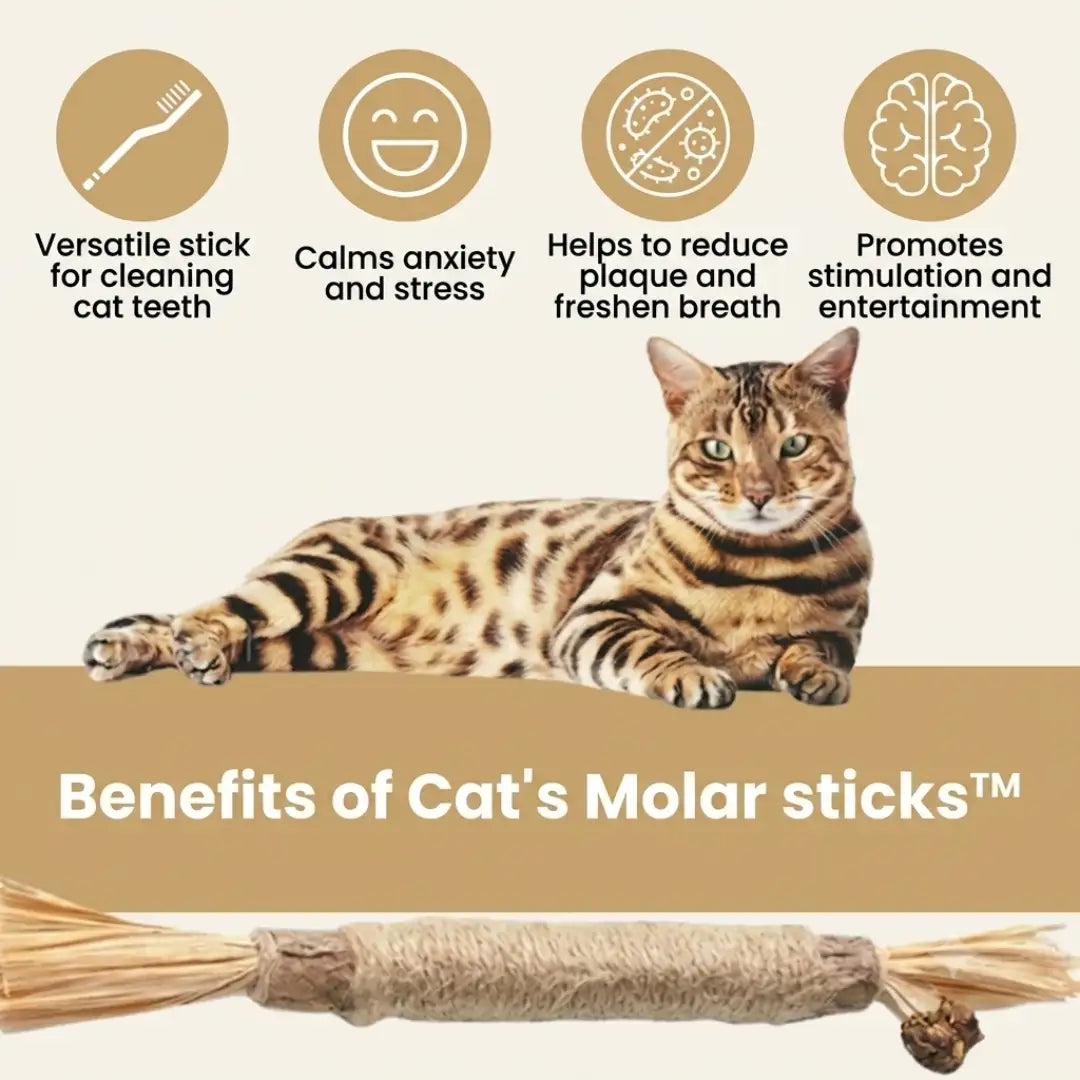 Cat's Molar Sticks™ | Give your cat fresher breath and healthier teeth, without any stress or irritation