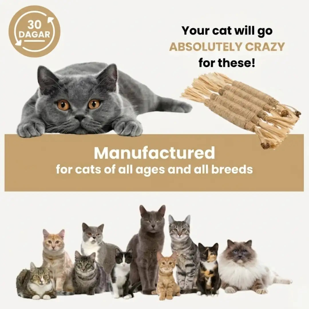 Cat's Molar Sticks™ | Give your cat fresher breath and healthier teeth, without any stress or irritation