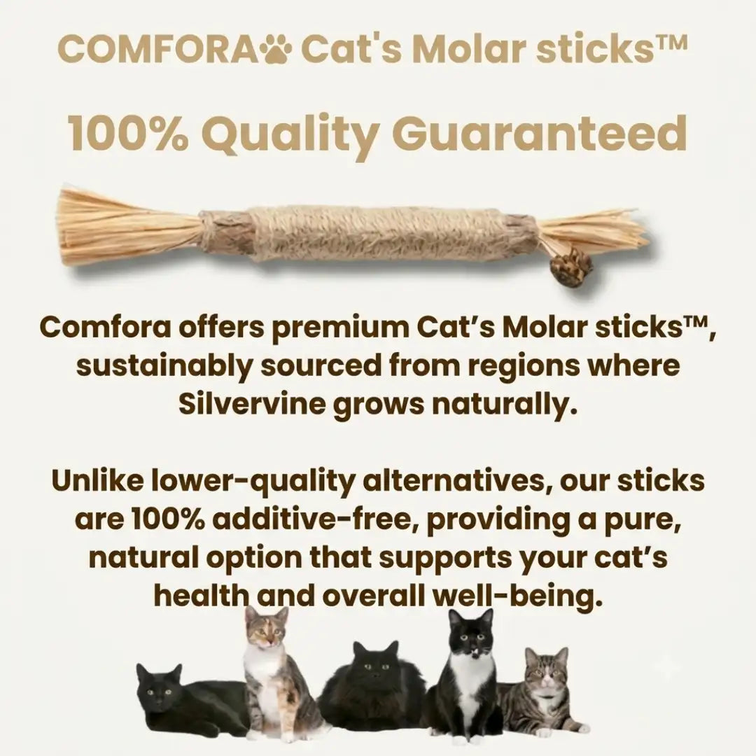 Cat's Molar Sticks™ | Give your cat fresher breath and healthier teeth, without any stress or irritation