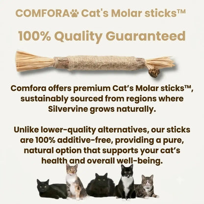 Cat's Molar Sticks™ | Give your cat fresher breath and healthier teeth, without any stress or irritation