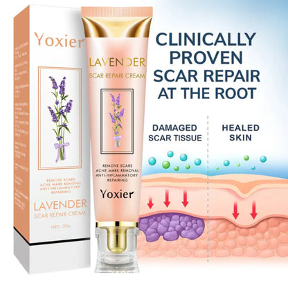 Yoxier | Real Healing Doesn't Require Expensive Appointments