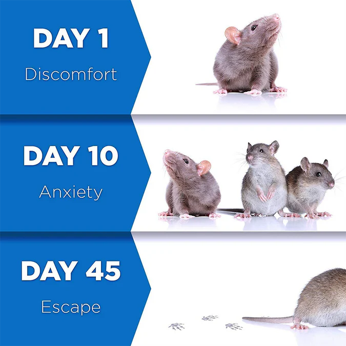 PestReject™ | Keep Insects & Rats Away Without the Hassle