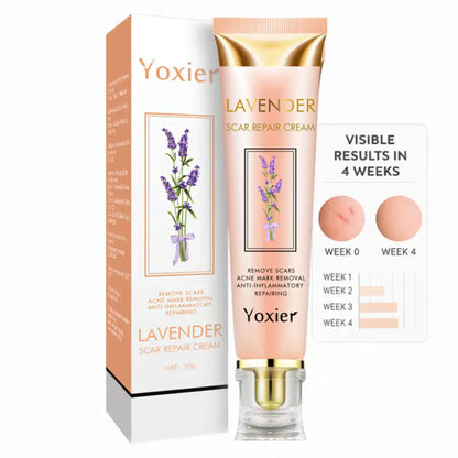 Yoxier | Real Healing Doesn't Require Expensive Appointments