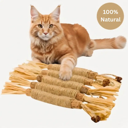 Cat's Molar Sticks™ | Give your cat fresher breath and healthier teeth, without any stress or irritation